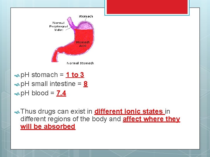  p. H stomach = 1 to 3 p. H small intestine = 8