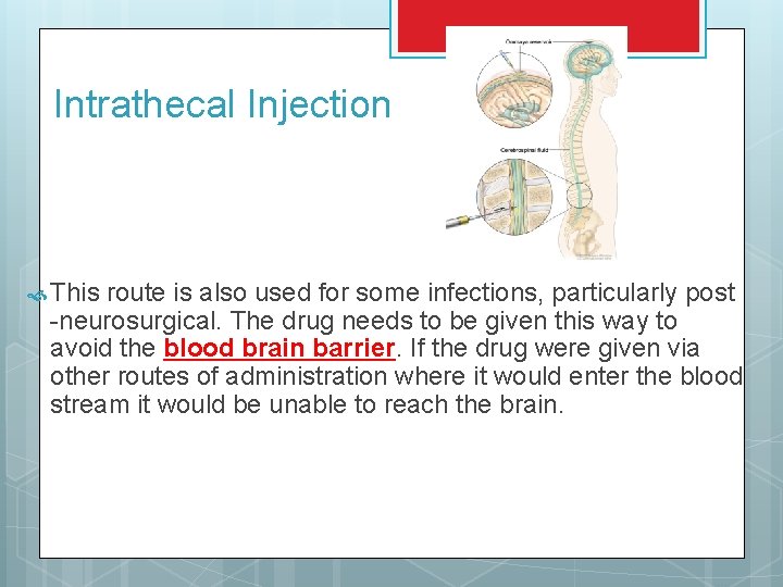 Intrathecal Injection This route is also used for some infections, particularly post -neurosurgical. The