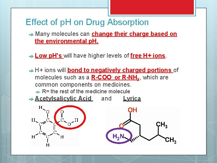 Effect of p. H on Drug Absorption Many molecules can change their charge based