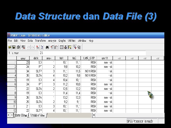 Data Structure dan Data File (3) 