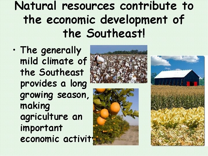 Natural resources contribute to the economic development of the Southeast! • The generally mild