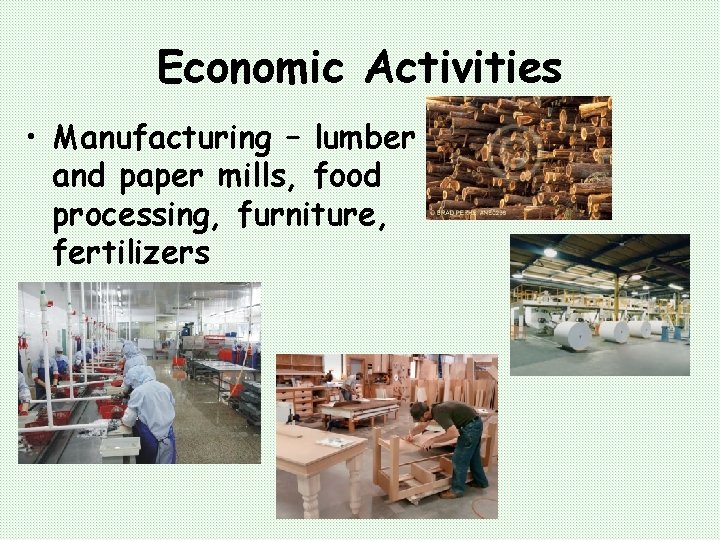 Economic Activities • Manufacturing – lumber and paper mills, food processing, furniture, fertilizers 