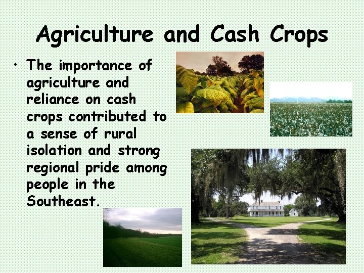 Agriculture and Cash Crops • The importance of agriculture and reliance on cash crops
