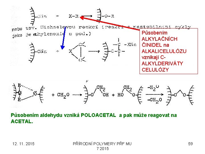 Působením ALKYLAČNÍCH ČINIDEL na ALKALICELULÓZU vznikají CALKYLDERIVÁTY CELULÓZY Působením aldehydu vzniká POLOACETAL a pak
