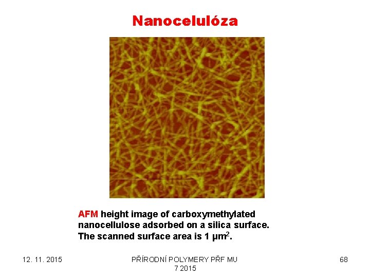 Nanocelulóza AFM height image of carboxymethylated nanocellulose adsorbed on a silica surface. The scanned