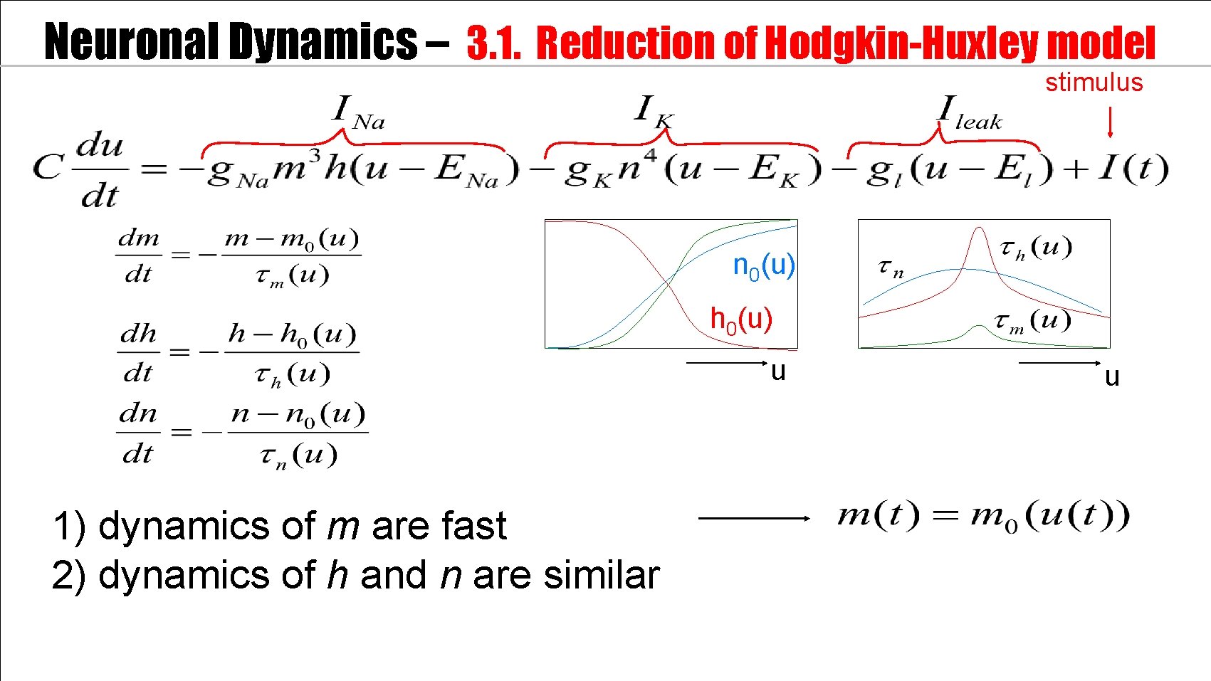 Neuronal Dynamics – 3. 1. Reduction of Hodgkin-Huxley model stimulus n 0(u) h 0(u)