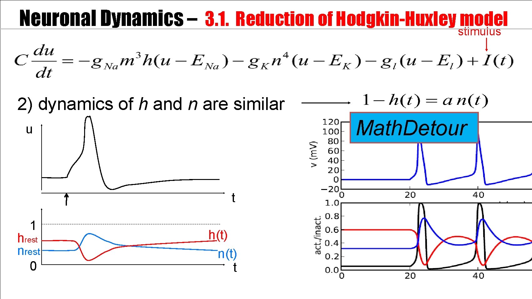 Neuronal Dynamics – 3. 1. Reduction of Hodgkin-Huxley stimulus model 2) dynamics of h