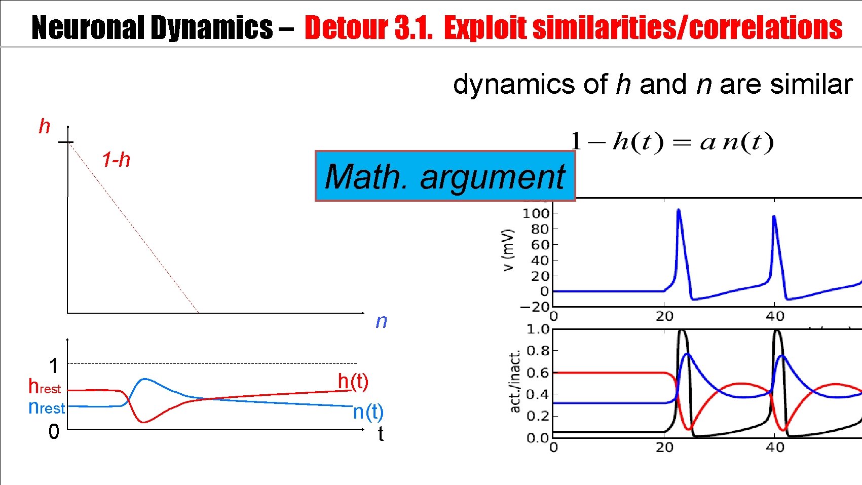 Neuronal Dynamics – Detour 3. 1. Exploit similarities/correlations dynamics of h and n are