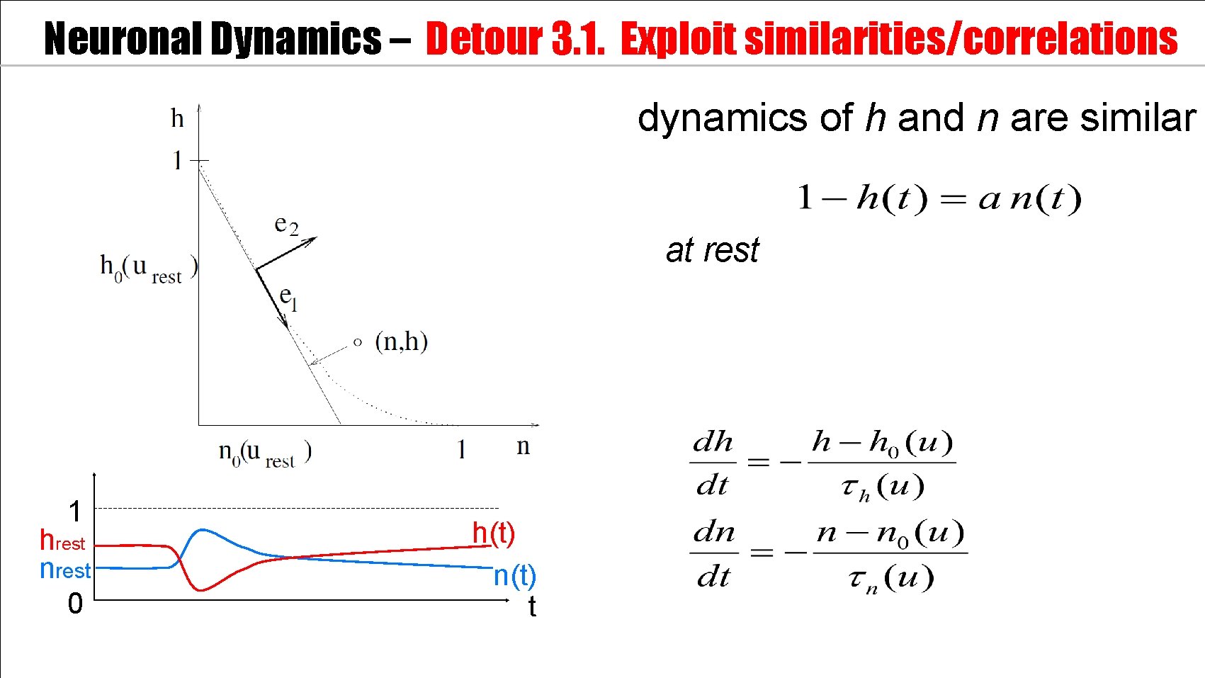 Neuronal Dynamics – Detour 3. 1. Exploit similarities/correlations dynamics of h and n are