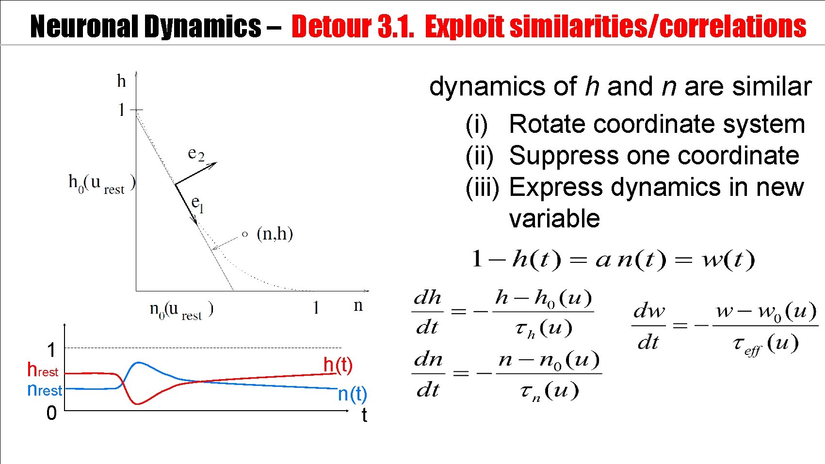 Neuronal Dynamics – Detour 3. 1. Exploit similarities/correlations dynamics of h and n are
