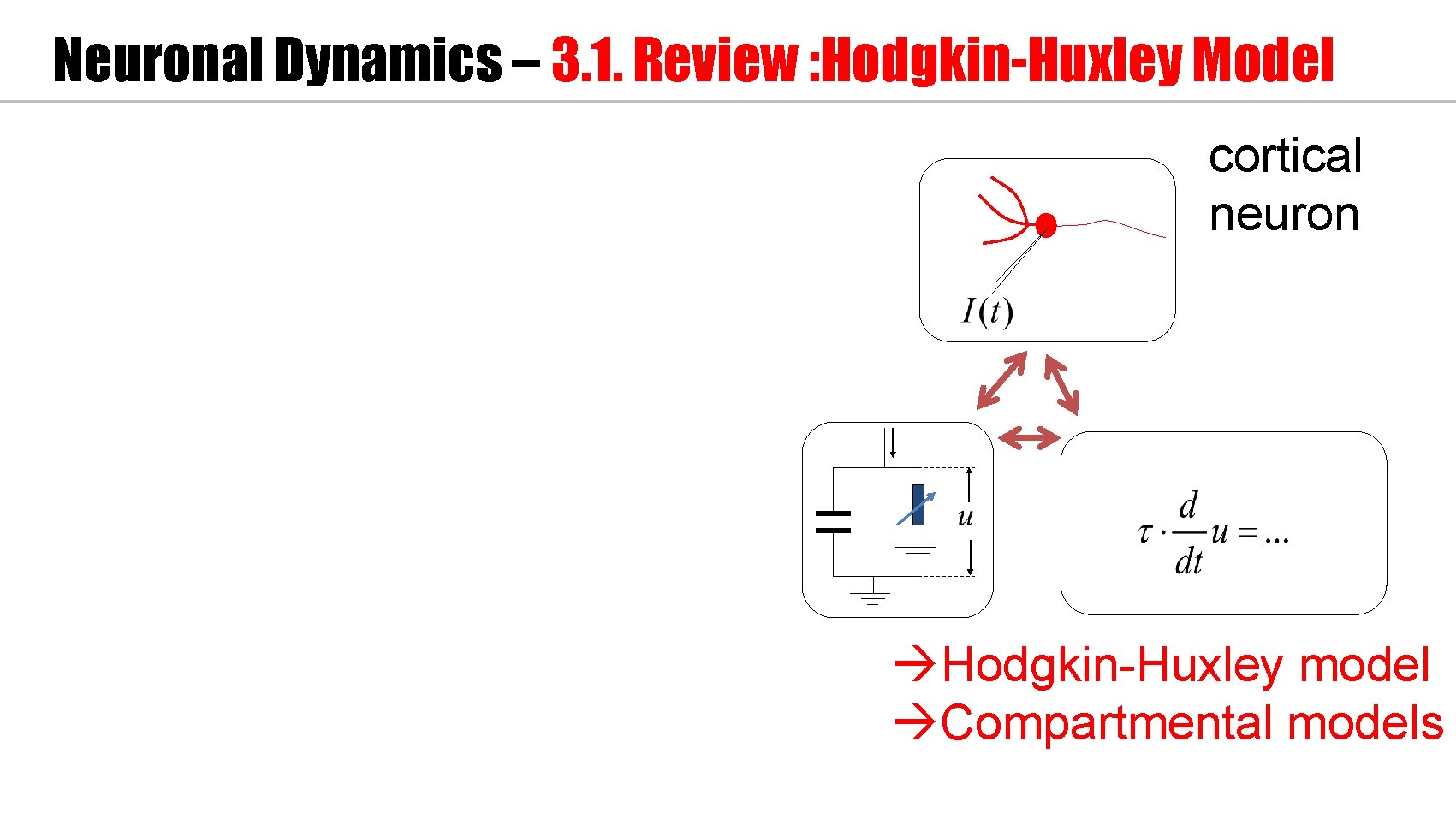 Neuronal Dynamics – 3. 1. Review : Hodgkin-Huxley Model cortical neuron Hodgkin-Huxley model Compartmental