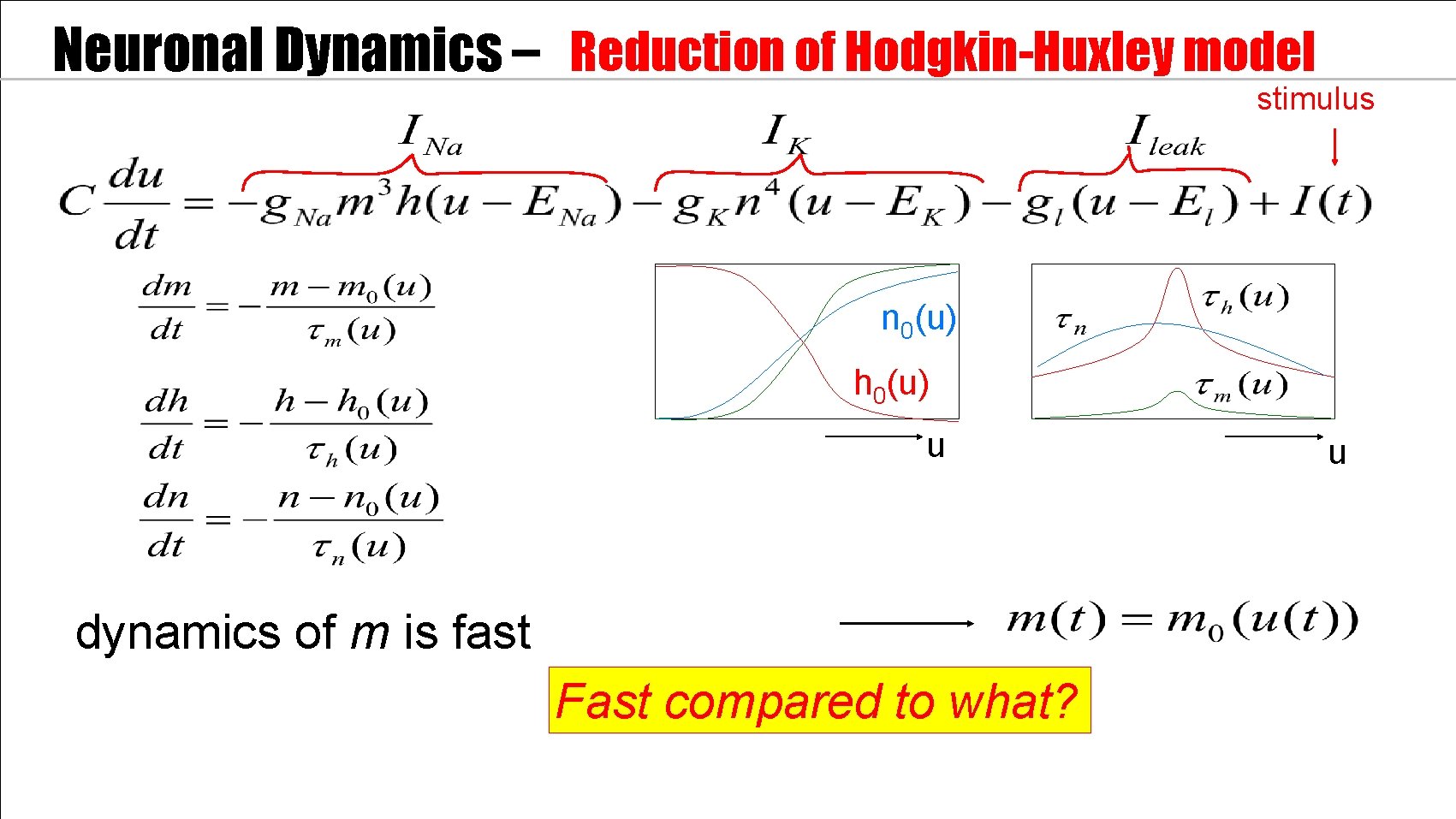 Neuronal Dynamics – Reduction of Hodgkin-Huxley model stimulus n 0(u) h 0(u) u dynamics