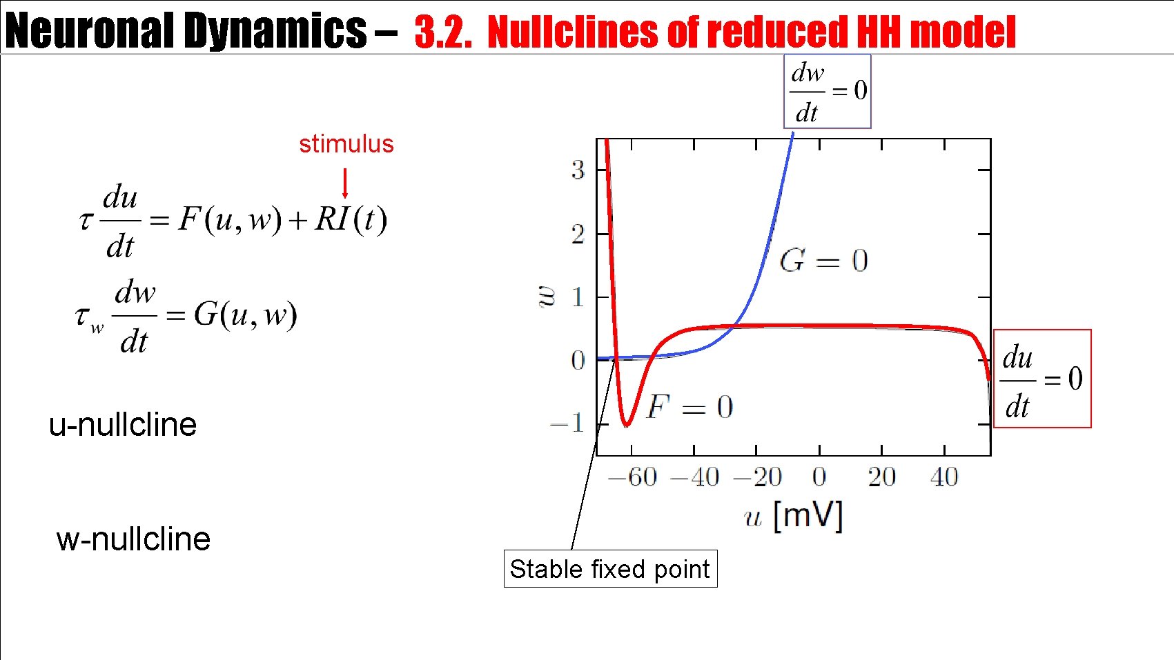 Neuronal Dynamics – 3. 2. Nullclines of reduced HH model stimulus u-nullcline w-nullcline Stable