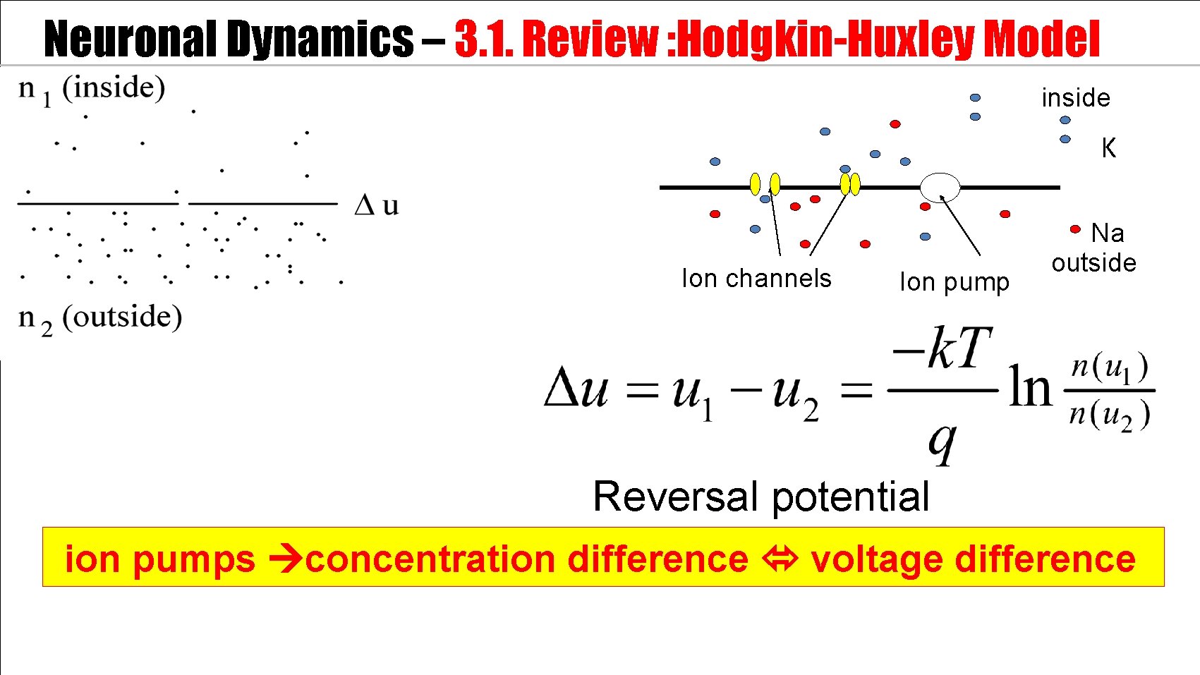 Neuronal Dynamics – 3. 1. Review : Hodgkin-Huxley Model inside 100 Ka K m.