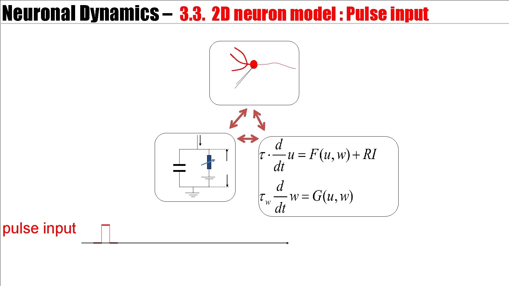 Neuronal Dynamics – 3. 3. 2 D neuron model : Pulse input pulse input