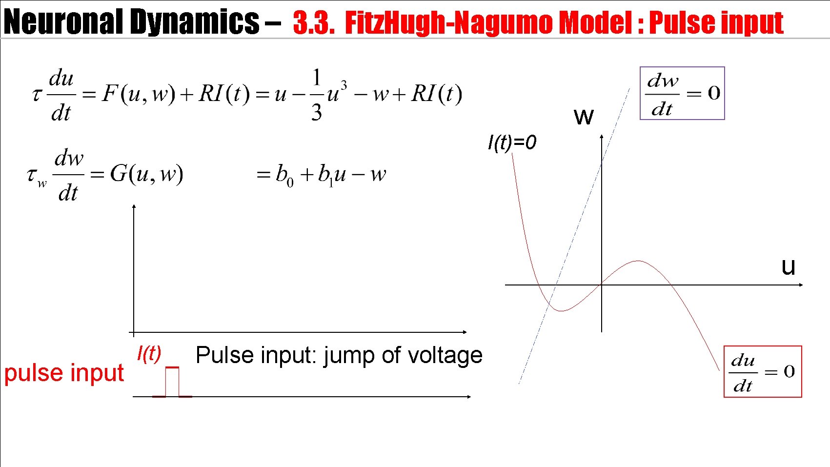 Neuronal Dynamics – 3. 3. Fitz. Hugh-Nagumo Model : Pulse input w I(t)=0 u