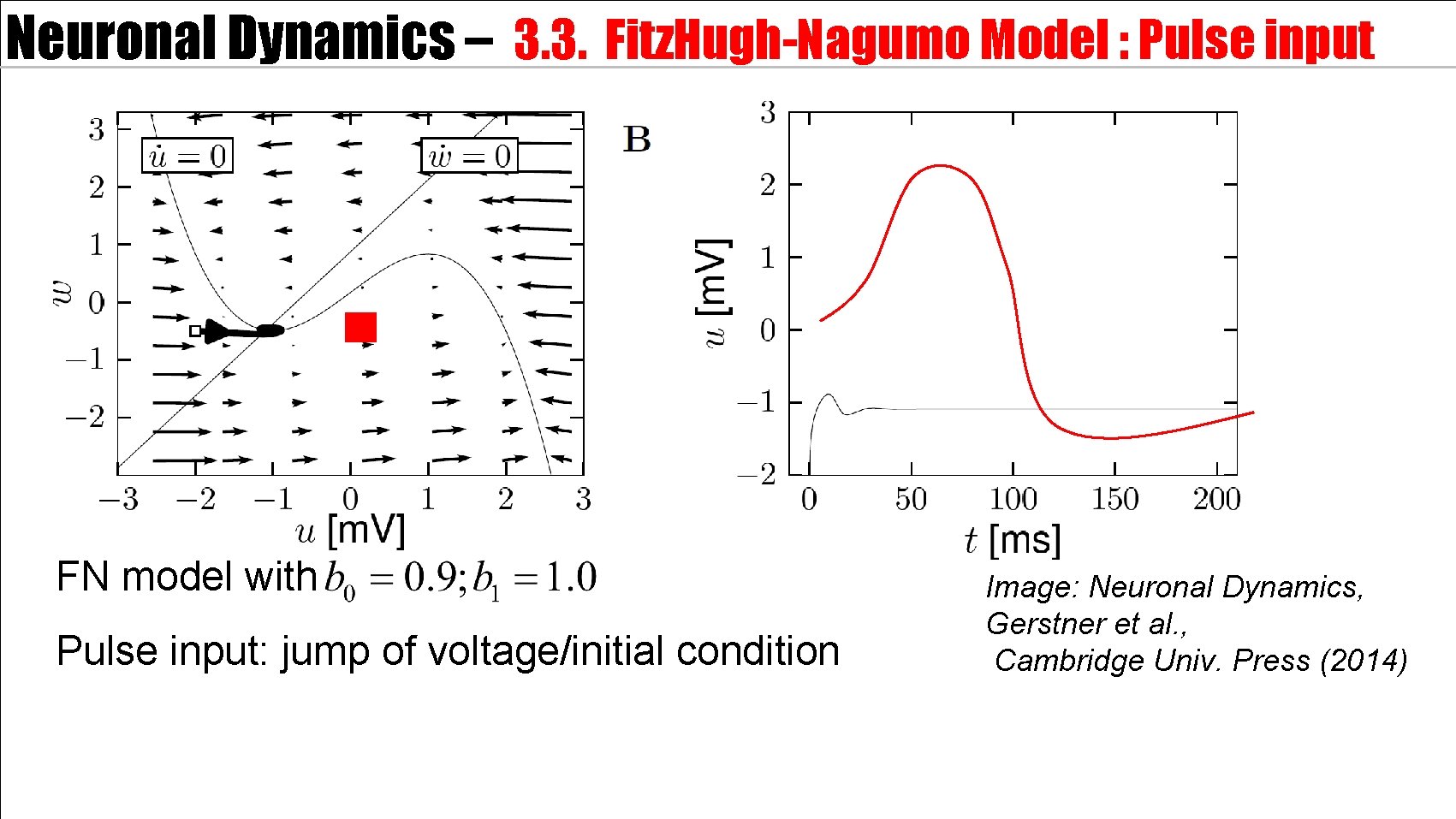 Neuronal Dynamics – 3. 3. Fitz. Hugh-Nagumo Model : Pulse input FN model with