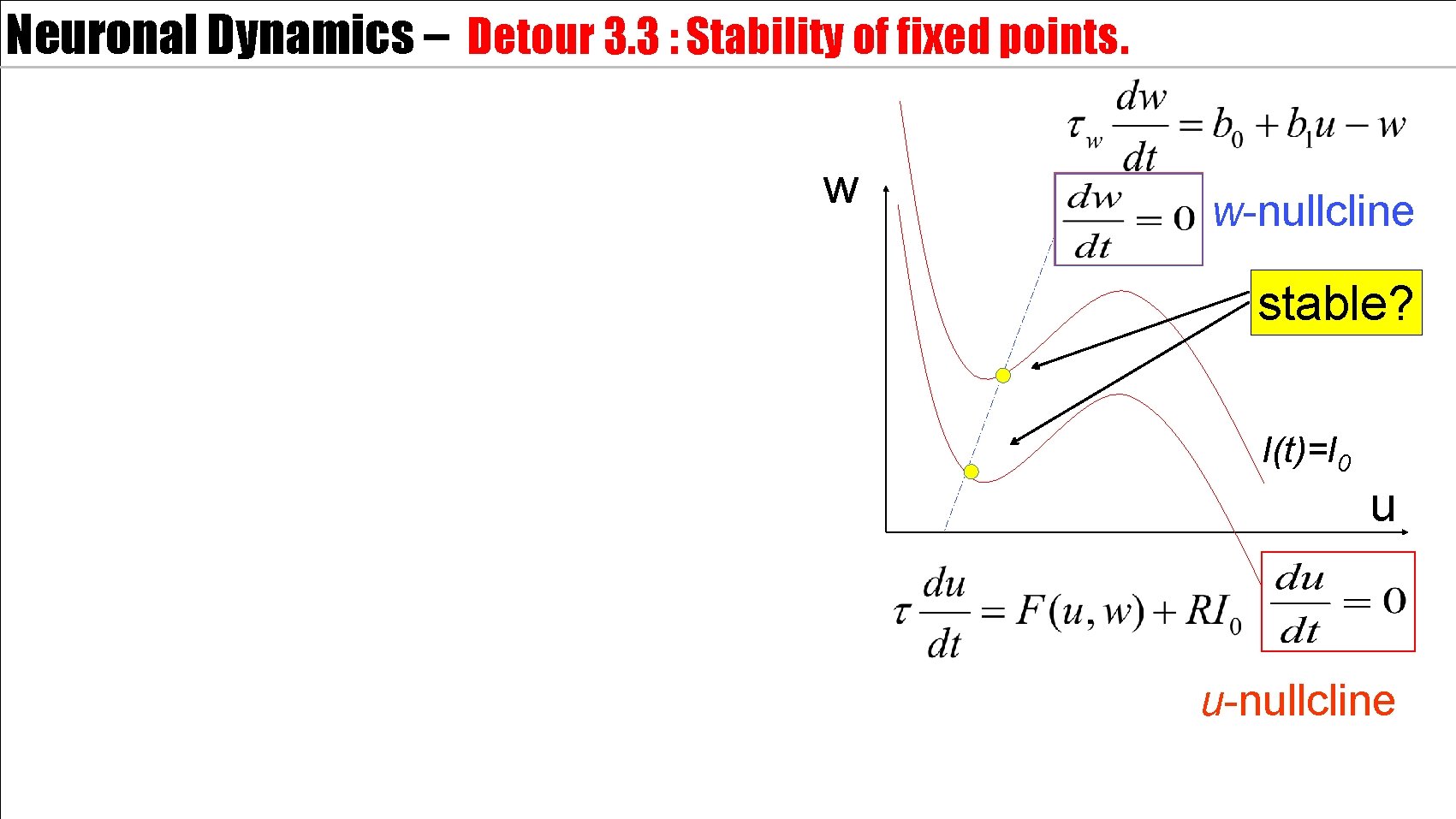 Neuronal Dynamics – Detour 3. 3 : Stability of fixed points. w w-nullcline stable?