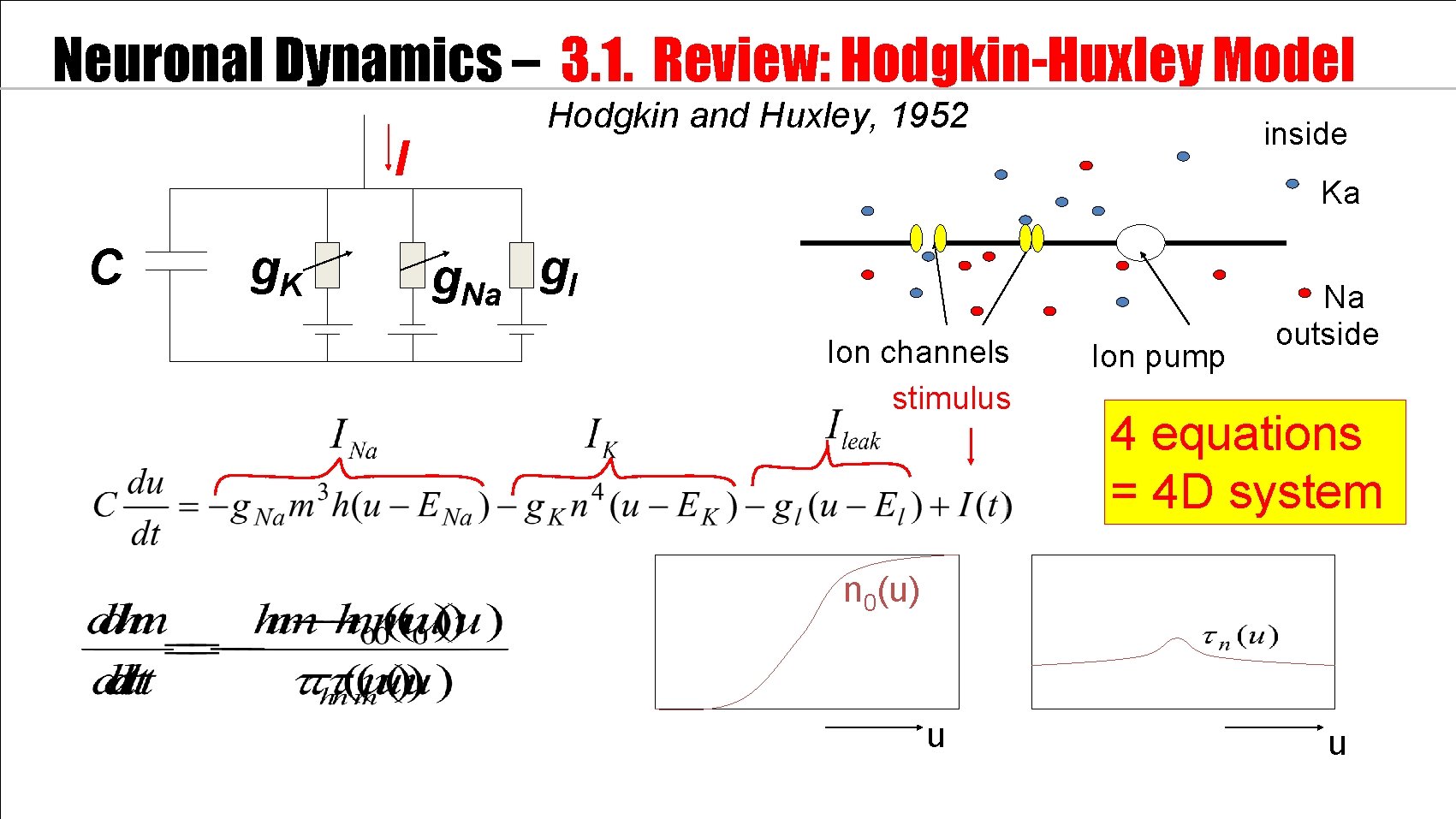 Neuronal Dynamics – 3. 1. Review: Hodgkin-Huxley Model 100 C I m. V g.