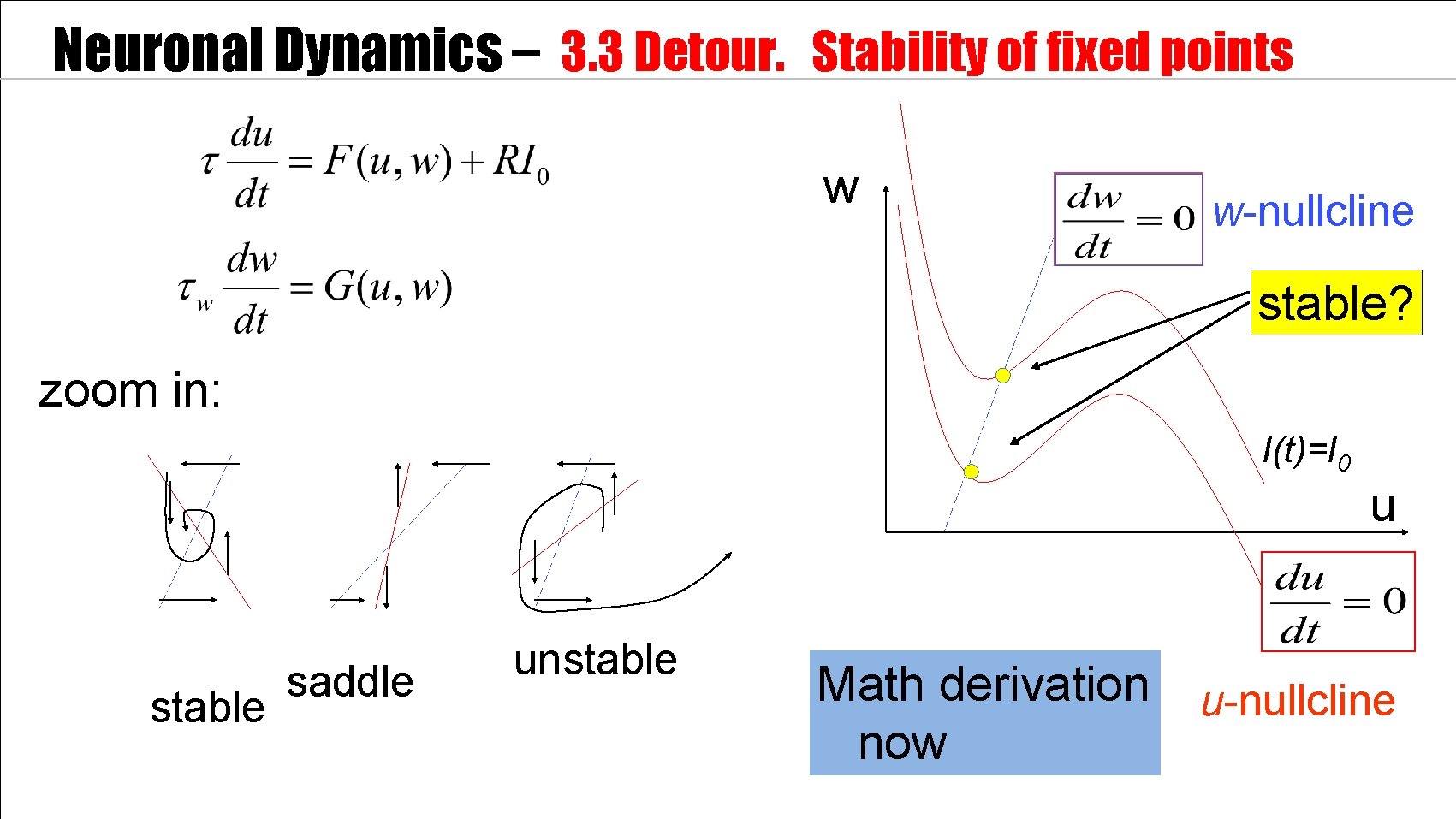 Neuronal Dynamics – 3. 3 Detour. Stability of fixed points w w-nullcline stable? zoom