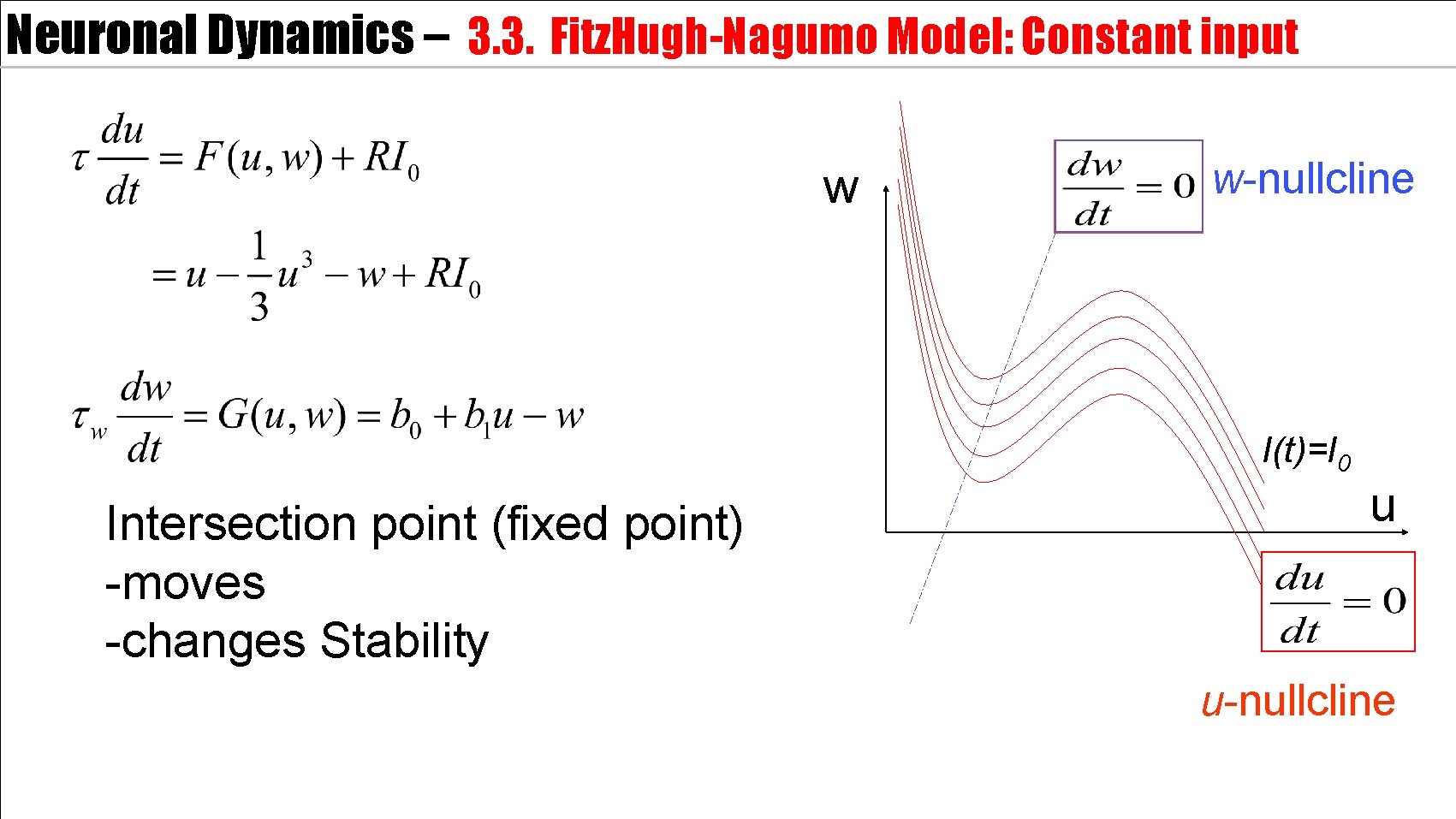 Neuronal Dynamics – 3. 3. Fitz. Hugh-Nagumo Model: Constant input w w-nullcline I(t)=I 0