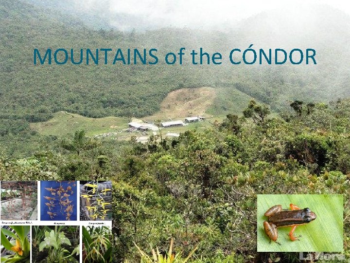 MOUNTAINS of the CÓNDOR 