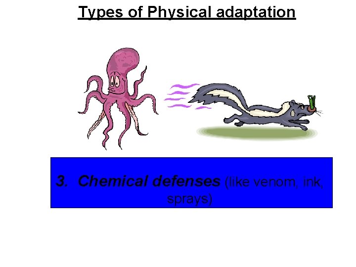 Types of Physical adaptation 3. Chemical defenses (like venom, ink, sprays) 