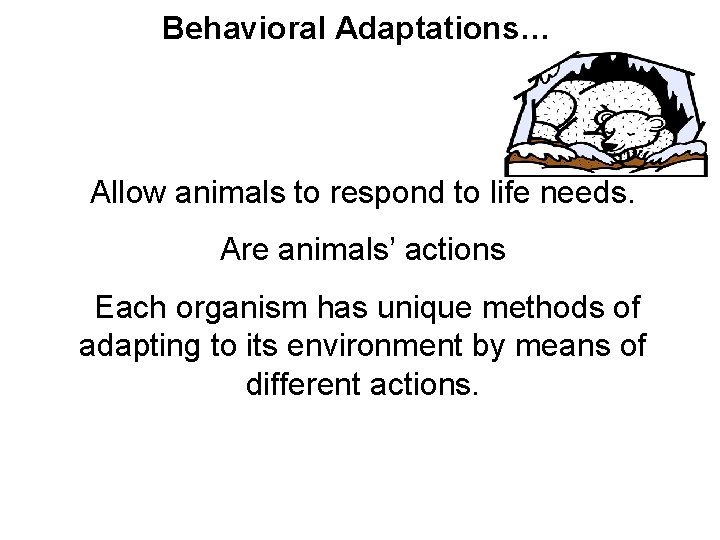 Behavioral Adaptations… Allow animals to respond to life needs. Are animals’ actions Each organism