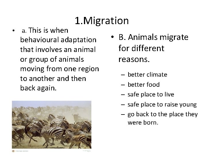  • a. This is when 1. Migration behavioural adaptation that involves an animal