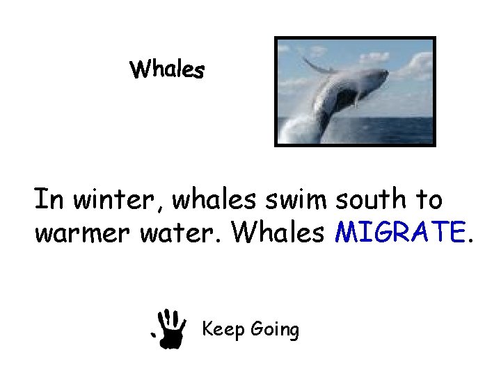In winter, whales swim south to warmer water. Whales MIGRATE. Keep Going 