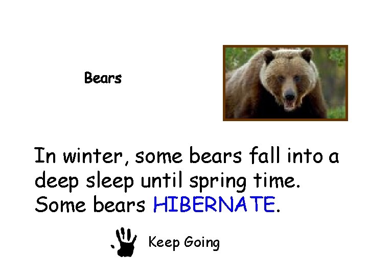 In winter, some bears fall into a deep sleep until spring time. Some bears
