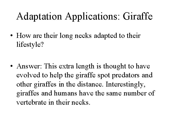 Adaptation Applications: Giraffe • How are their long necks adapted to their lifestyle? •