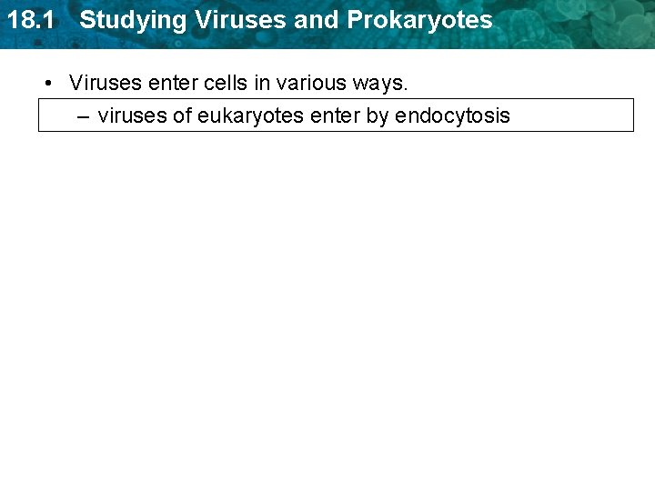 18. 1 Studying Viruses and Prokaryotes • Viruses enter cells in various ways. – 18. 1 Studying Viruses and Prokaryotes • Viruses enter cells in various ways. –