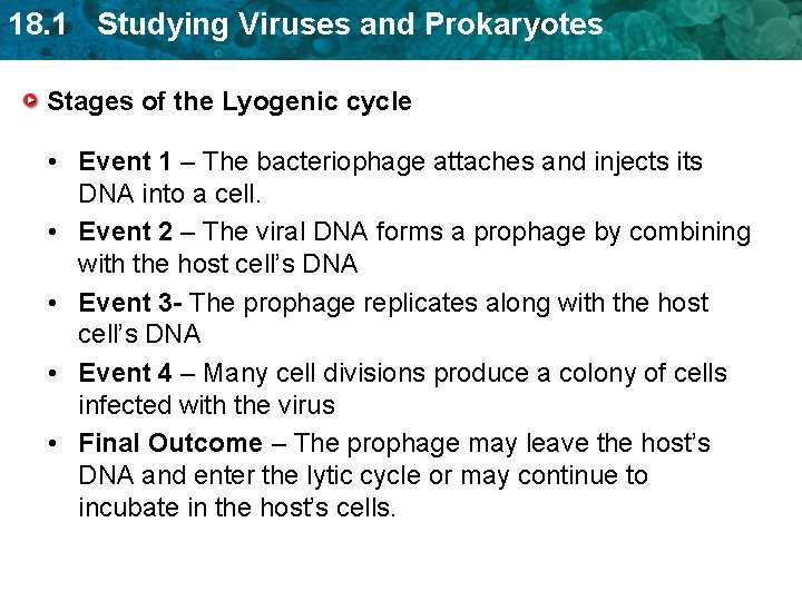 18. 1 Studying Viruses and Prokaryotes Stages of the Lyogenic cycle • Event 1 18. 1 Studying Viruses and Prokaryotes Stages of the Lyogenic cycle • Event 1