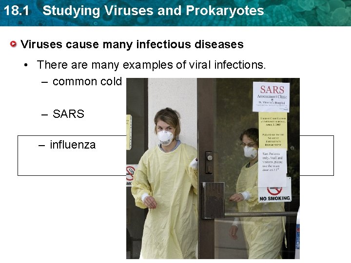 18. 1 Studying Viruses and Prokaryotes Viruses cause many infectious diseases • There are 18. 1 Studying Viruses and Prokaryotes Viruses cause many infectious diseases • There are