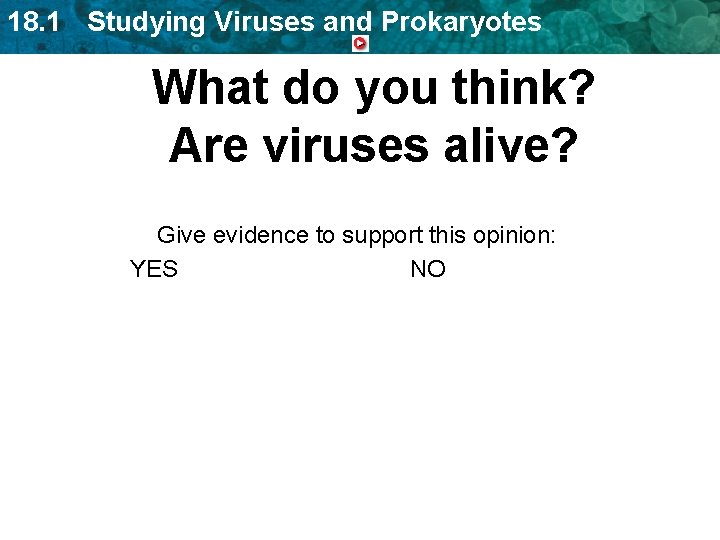 18. 1 Studying Viruses and Prokaryotes What do you think? Are viruses alive? Give 18. 1 Studying Viruses and Prokaryotes What do you think? Are viruses alive? Give