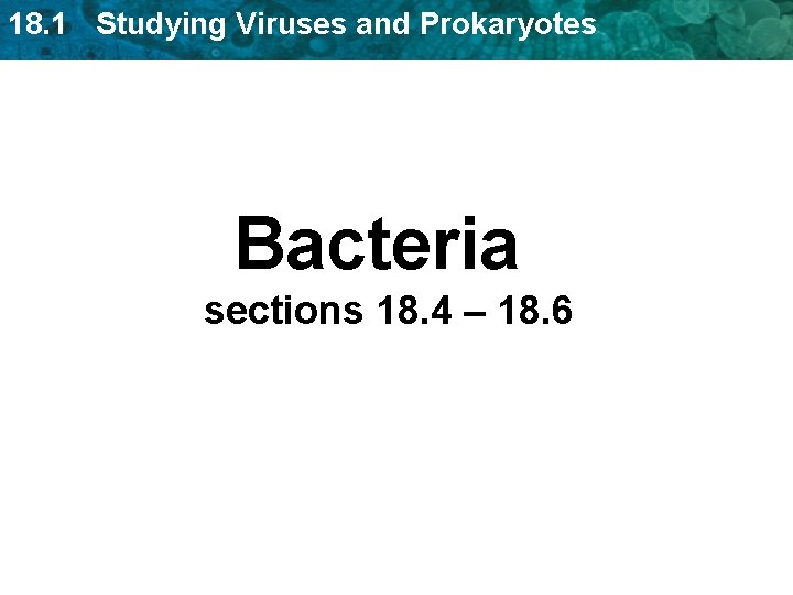 18. 1 Studying Viruses and Prokaryotes Bacteria sections 18. 4 – 18. 6 18. 1 Studying Viruses and Prokaryotes Bacteria sections 18. 4 – 18. 6