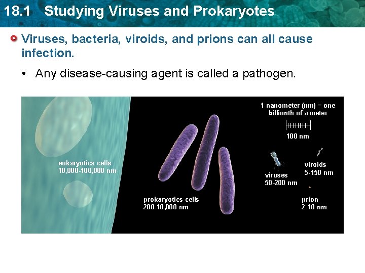 18. 1 Studying Viruses and Prokaryotes Viruses, bacteria, viroids, and prions can all cause 18. 1 Studying Viruses and Prokaryotes Viruses, bacteria, viroids, and prions can all cause