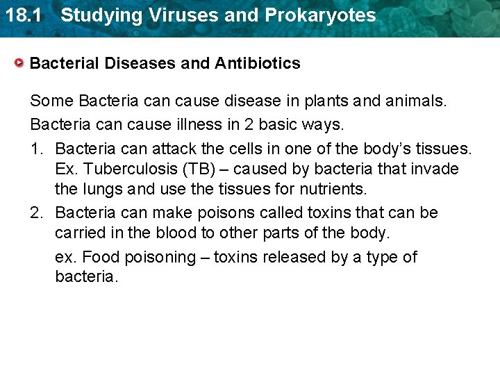 18. 1 Studying Viruses and Prokaryotes Bacterial Diseases and Antibiotics Some Bacteria can cause 18. 1 Studying Viruses and Prokaryotes Bacterial Diseases and Antibiotics Some Bacteria can cause