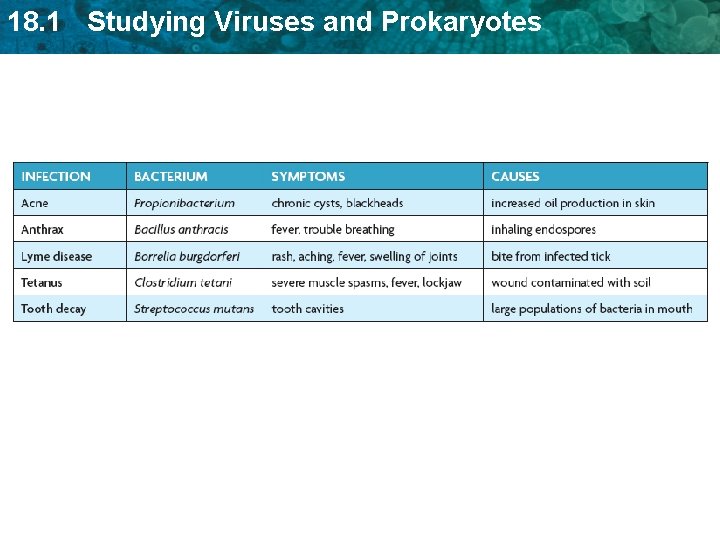 18. 1 Studying Viruses and Prokaryotes 18. 1 Studying Viruses and Prokaryotes
