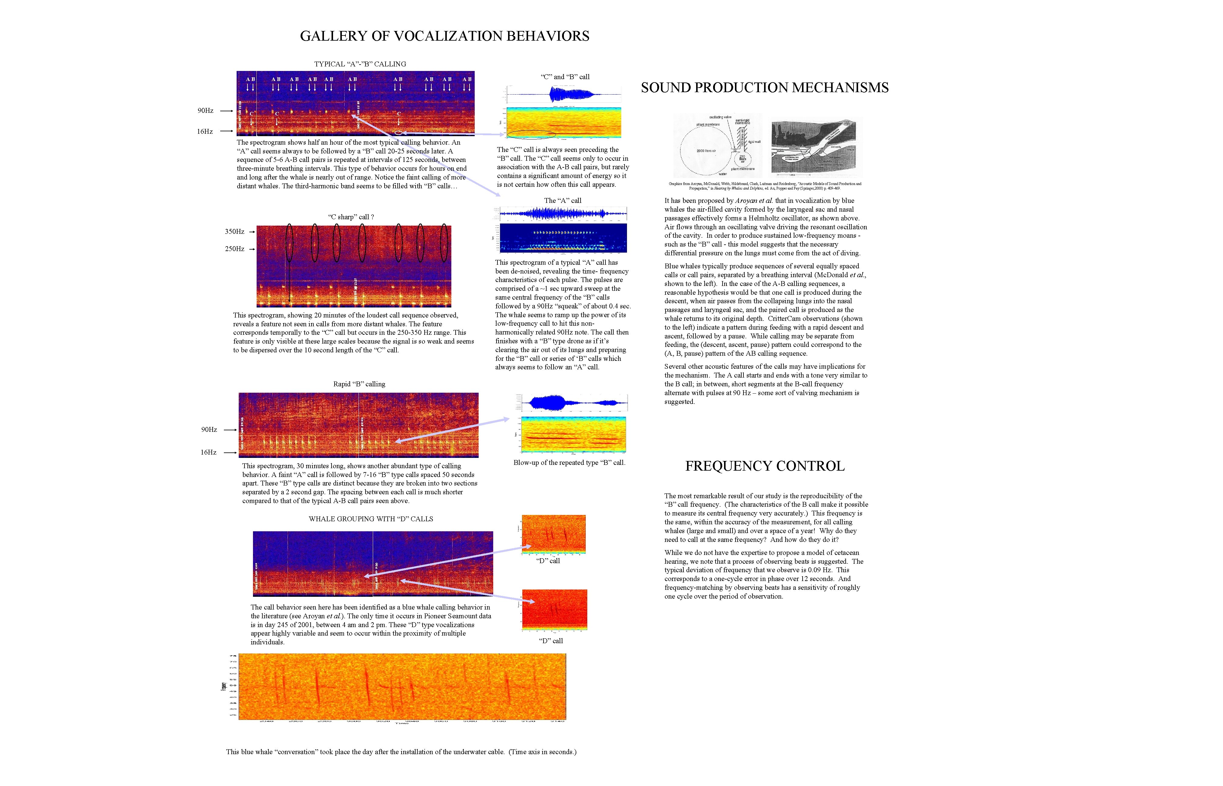 Vocalization Sign GALLERY OF VOCALIZATION BEHAVIORS TYPICAL AB CALLING AB