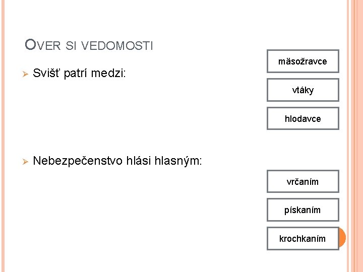 OVER SI VEDOMOSTI Ø Svišť patrí medzi: mäsožravce vtáky hlodavce Ø Nebezpečenstvo hlási hlasným: