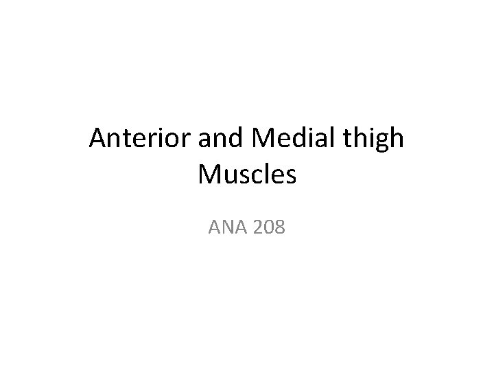 Anterior and Medial thigh Muscles ANA 208 