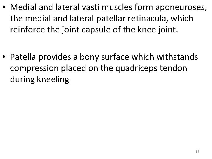  • Medial and lateral vasti muscles form aponeuroses, the medial and lateral patellar