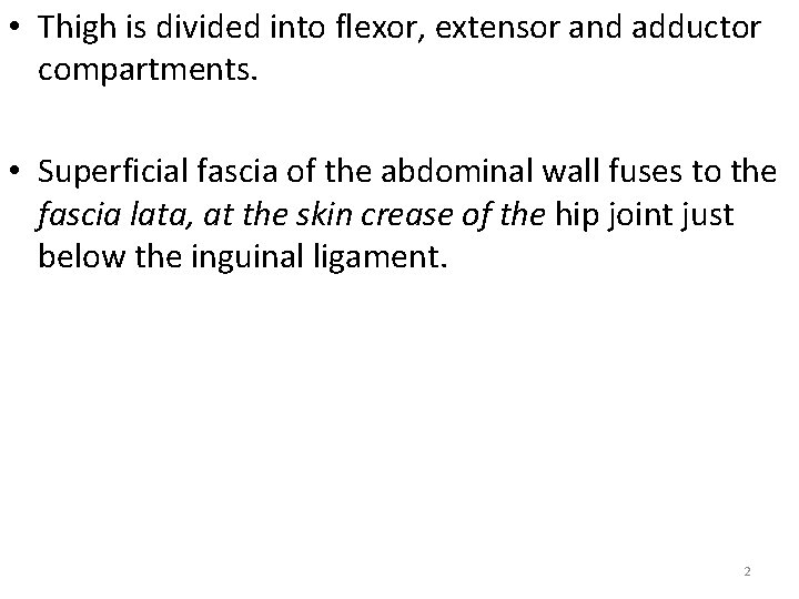  • Thigh is divided into flexor, extensor and adductor compartments. • Superficial fascia