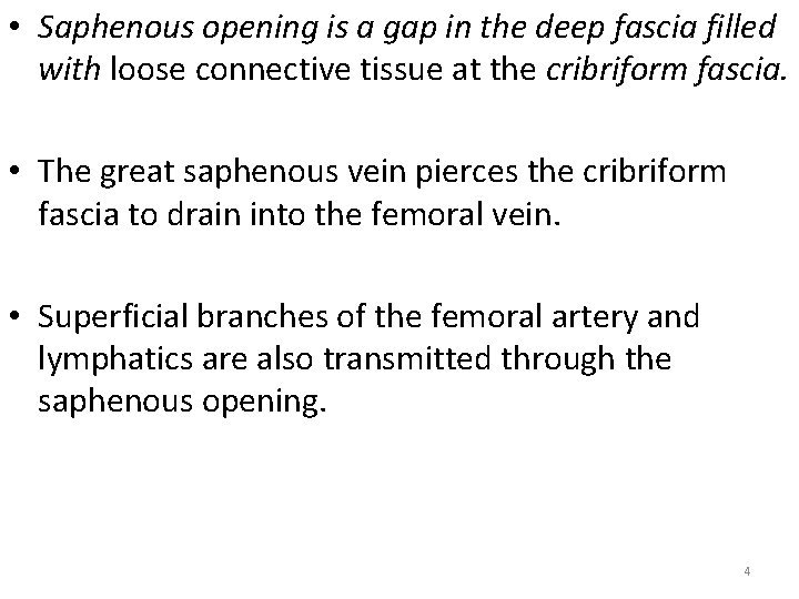  • Saphenous opening is a gap in the deep fascia filled with loose