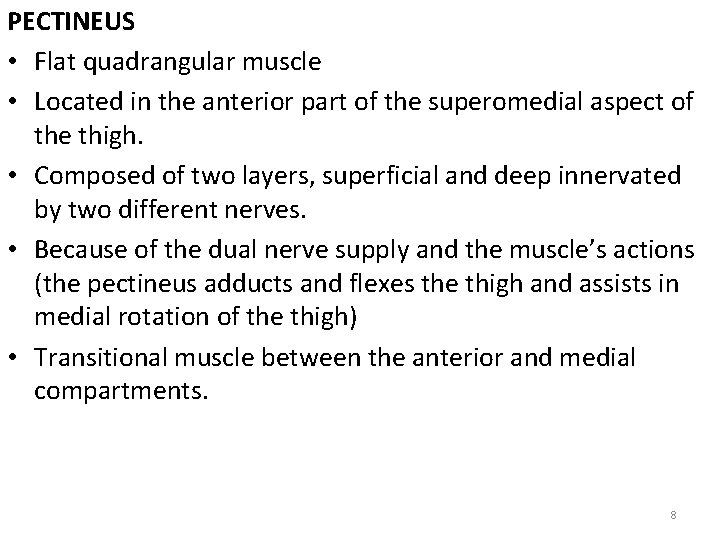 PECTINEUS • Flat quadrangular muscle • Located in the anterior part of the superomedial