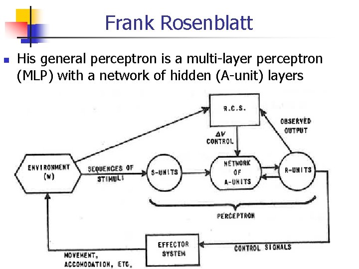 Frank Rosenblatt His general perceptron is a multi-layer perceptron (MLP) with a network of