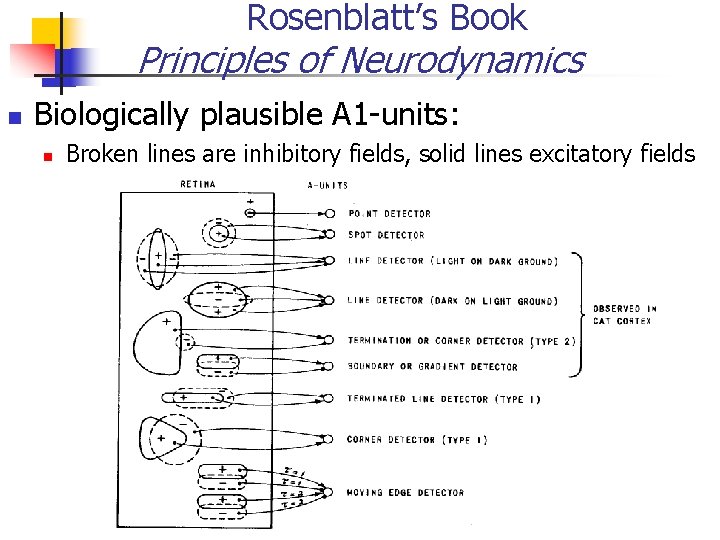 Rosenblatt’s Book Principles of Neurodynamics Biologically plausible A 1 -units: Broken lines are inhibitory