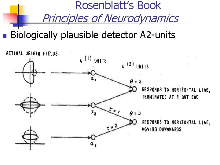 Rosenblatt’s Book Principles of Neurodynamics Biologically plausible detector A 2 -units 